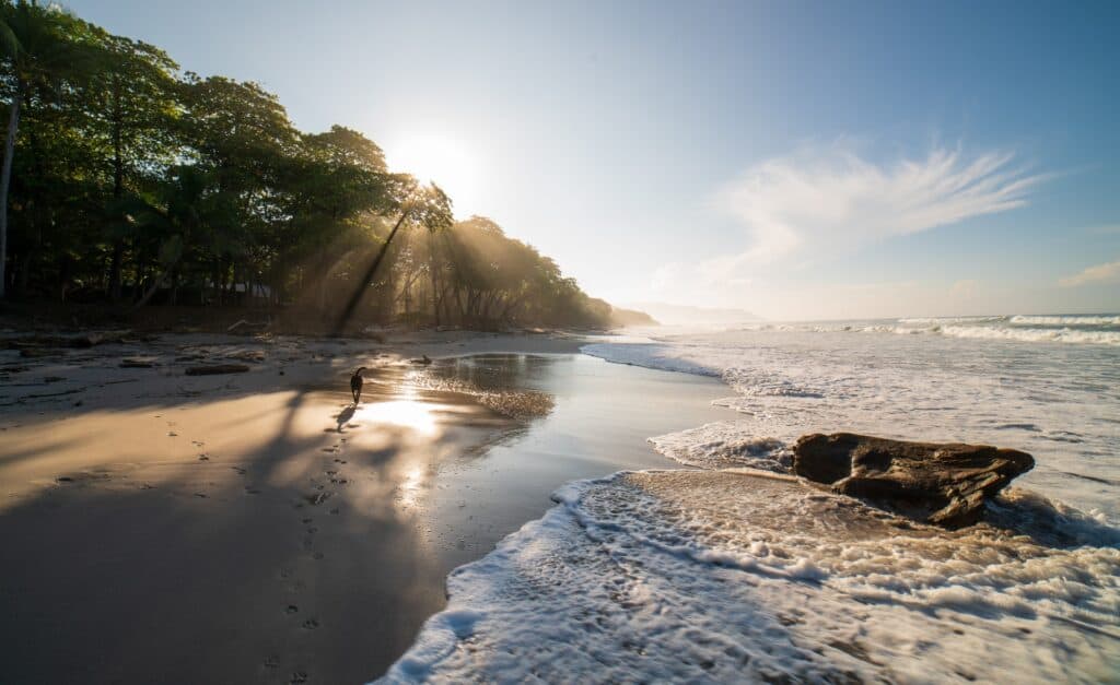 santa teresa best places to learn to surf in costa rica