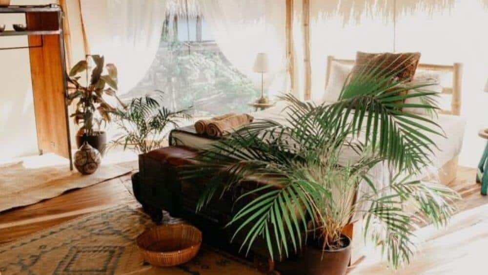 Rooms @dreamseasurfcamp.com