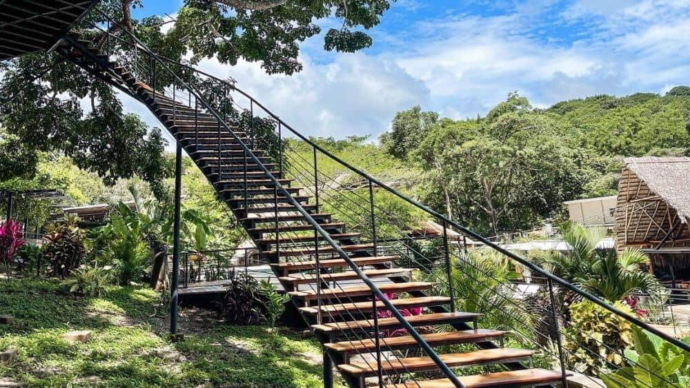 Rooms @treecasaresort.com