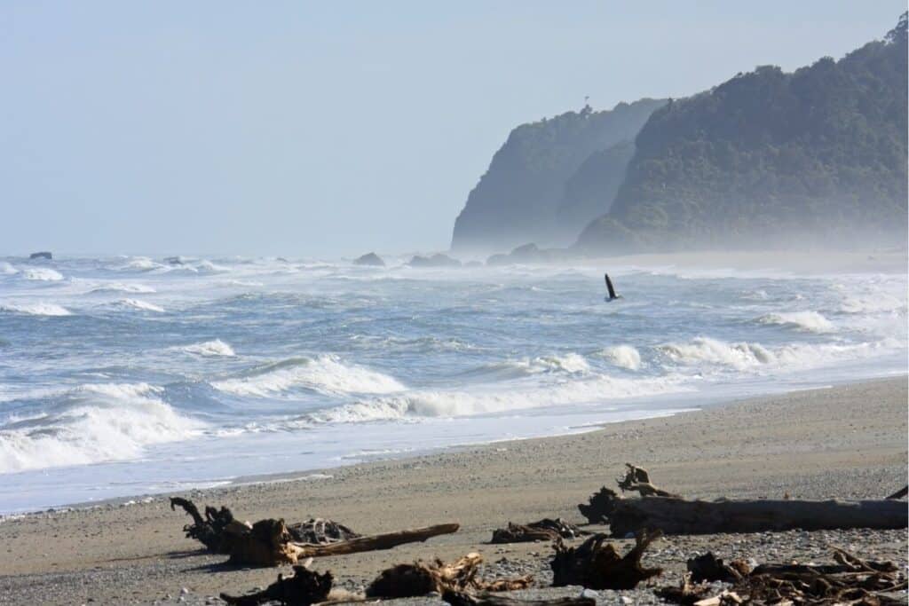 Surf Camps New Zealand