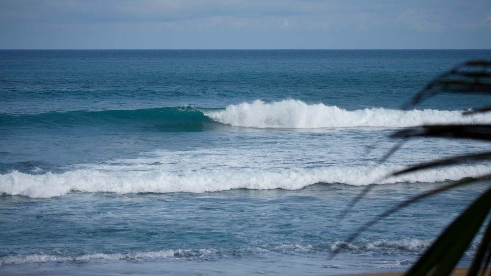Witch rock surf camp costa rica