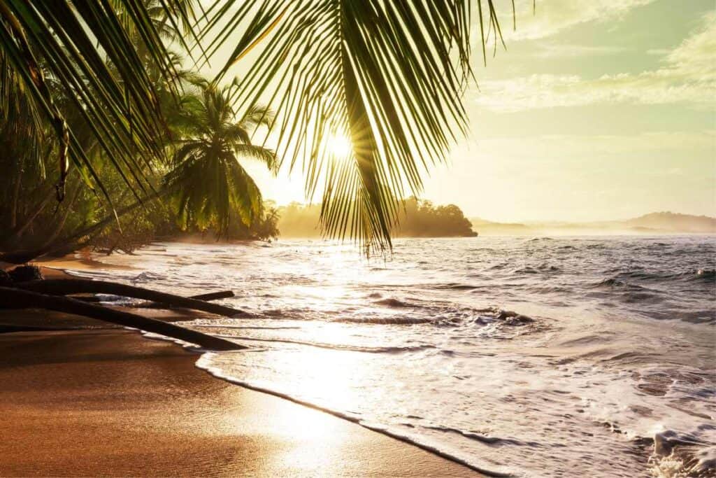 Costa Rica learn to surf