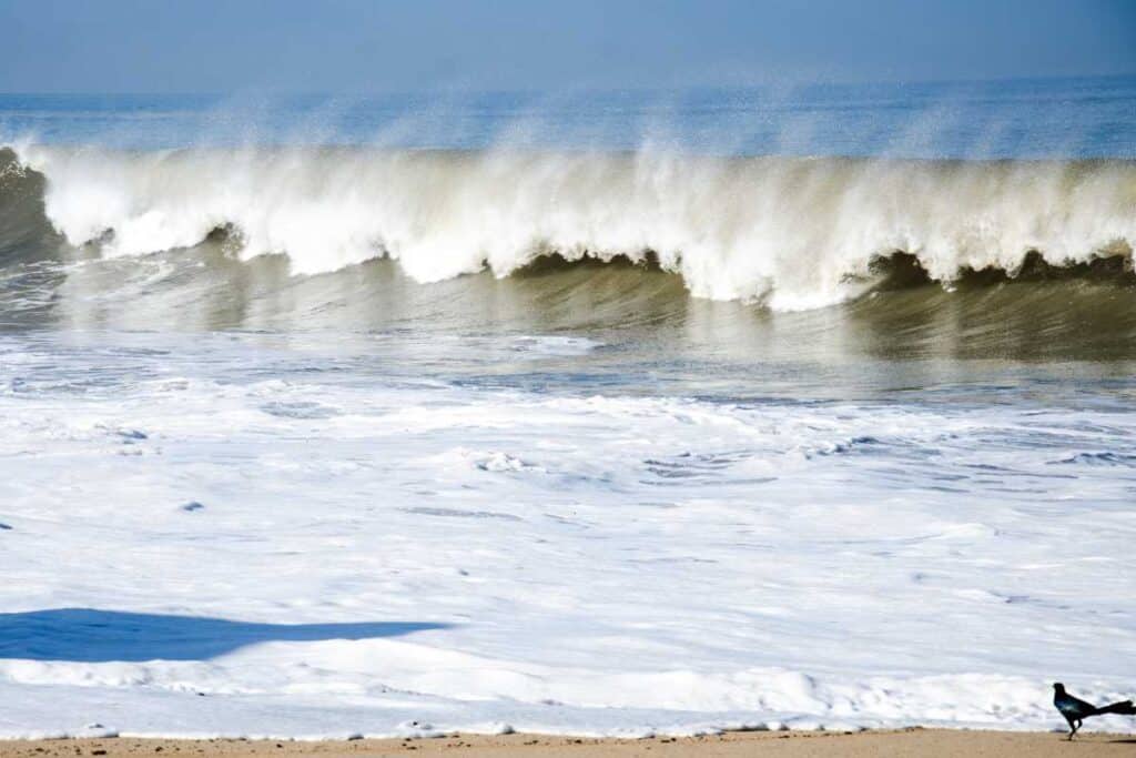 best surf spots Puerto Vallarta