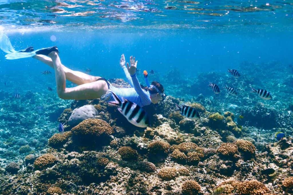 Puerto Vallarta snorkeling