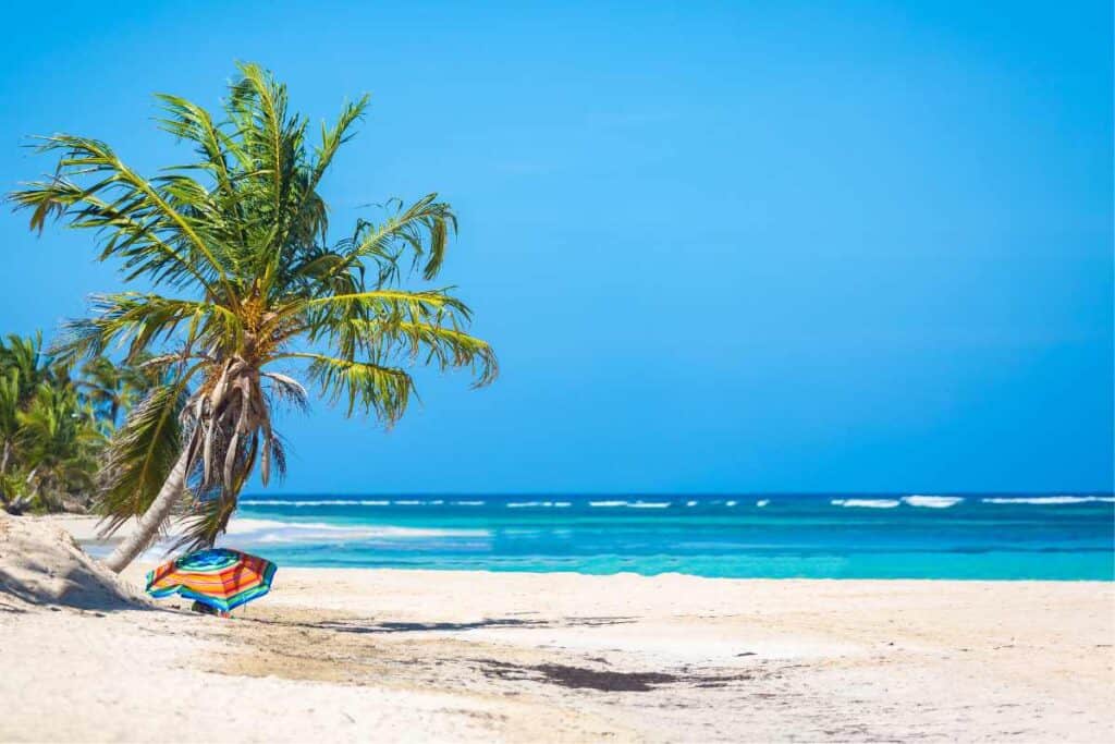 surfing locations in Rincon