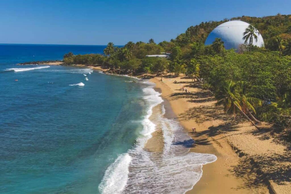 surfing Rincon history facts