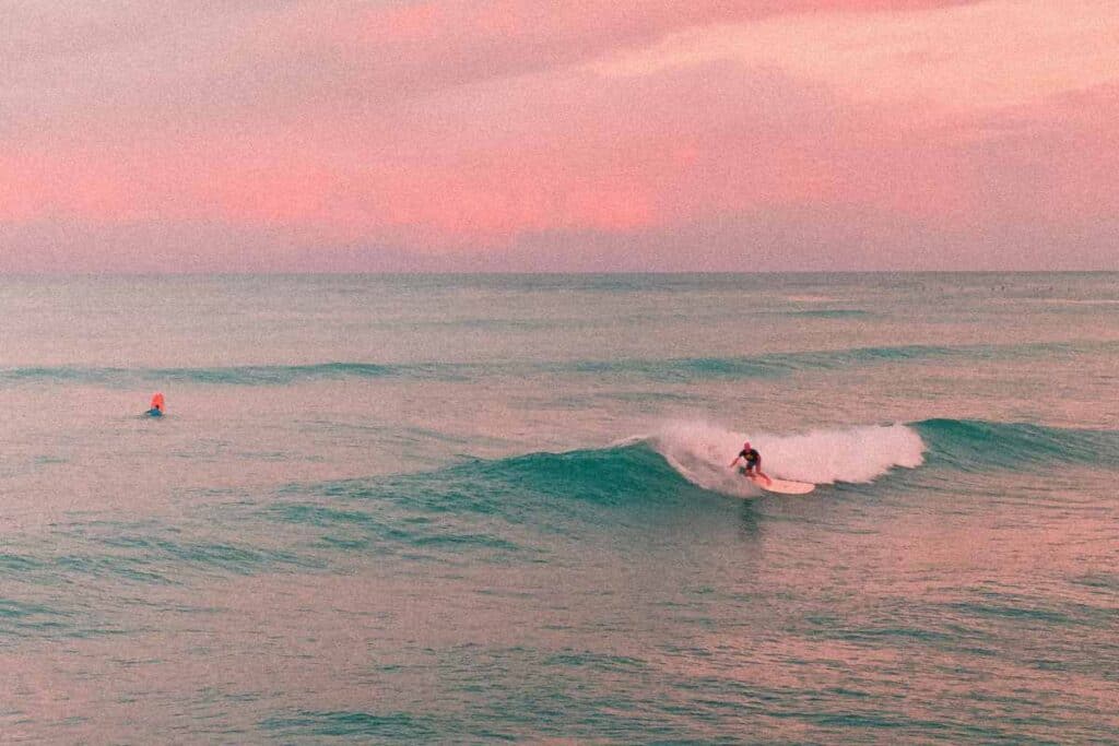 call of the waves
