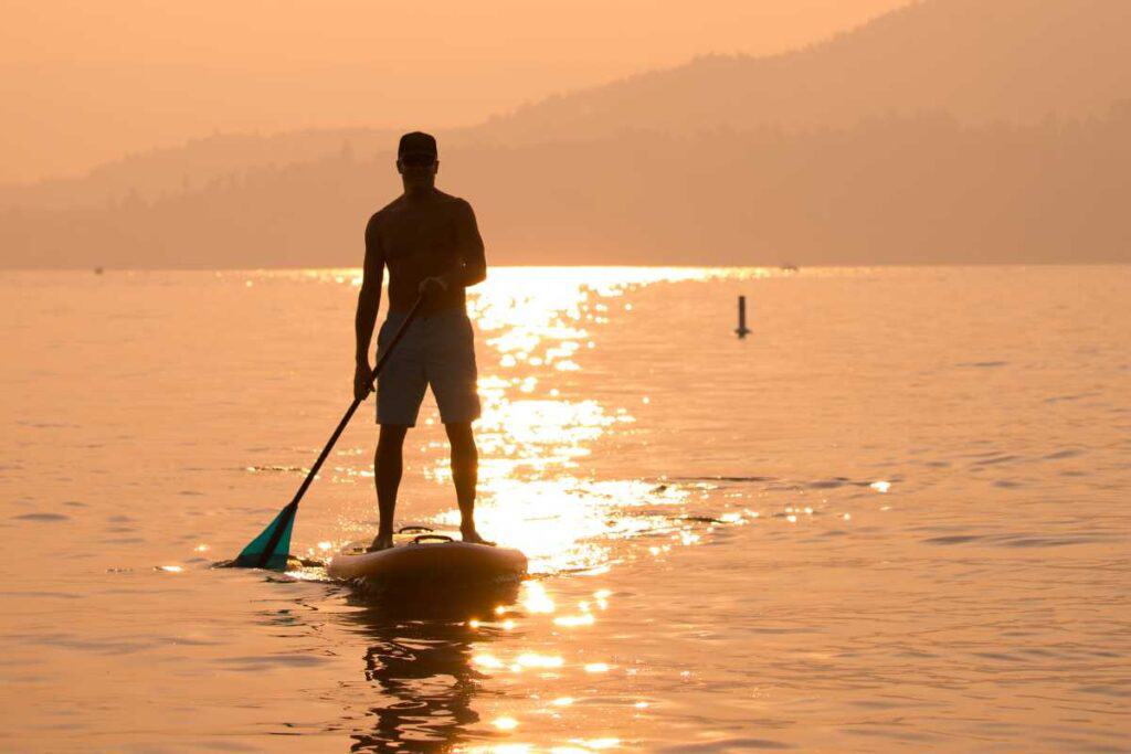 Austin SUP wildlife