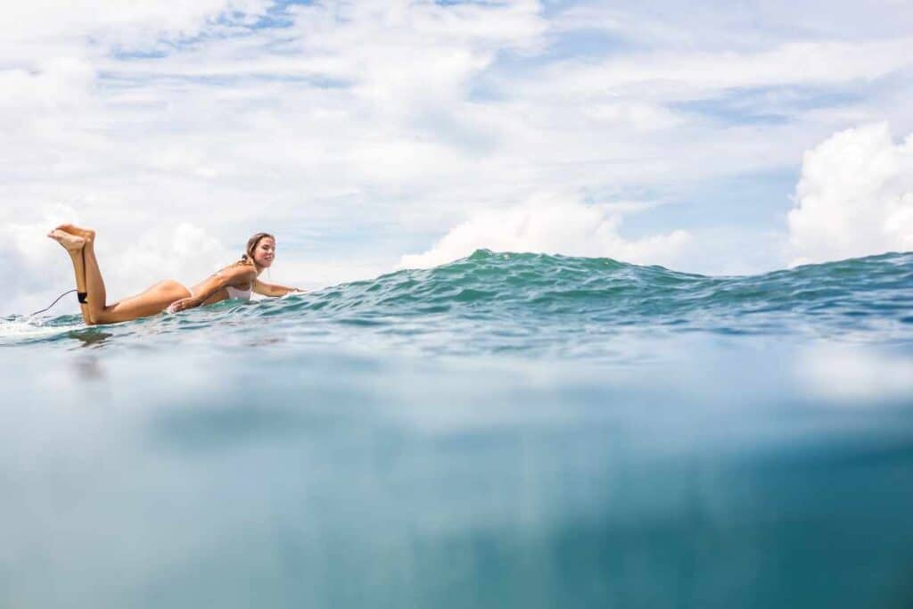 choosing Gerry Lopez vs Wavestorm