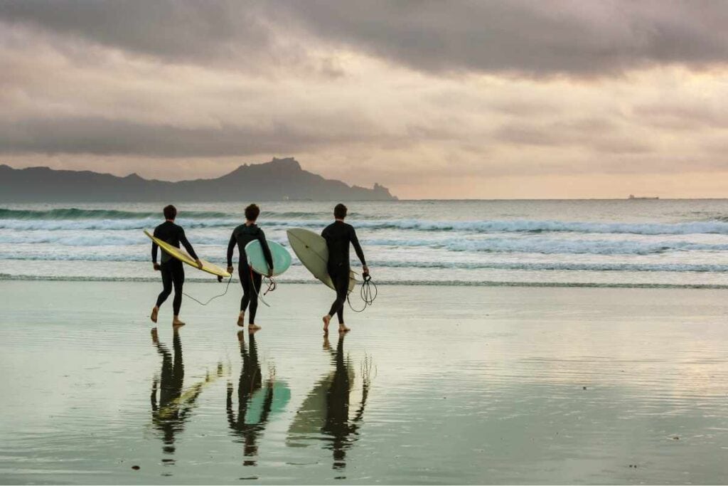 Gerry Lopez vs Wavestorm purchasing options