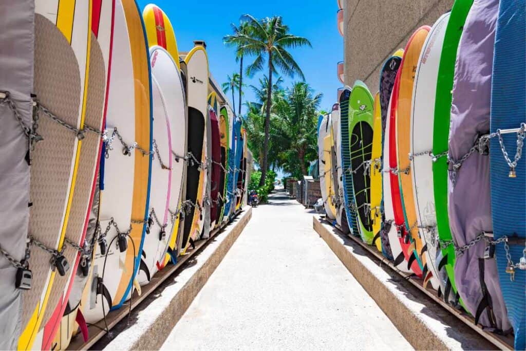 size Gerry Lopez vs Wavestorm