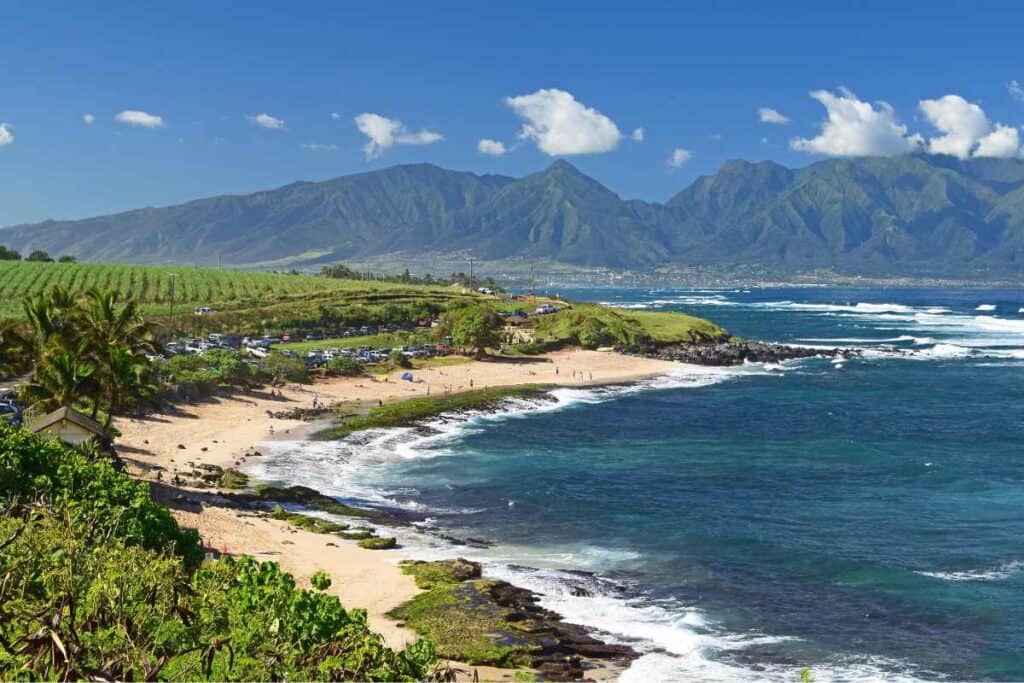 seasonal conditions Surfing in Maui