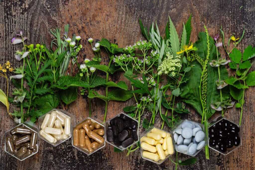 supplemental nutrition for surfers