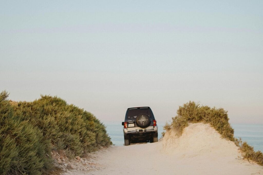 best cars for surfing