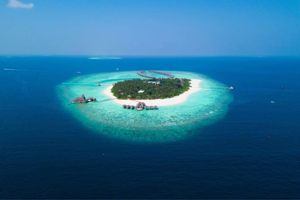 surfing Fiji