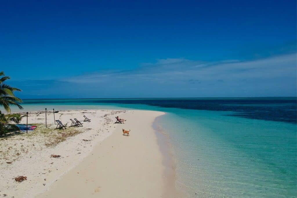 surfing Fiji guide