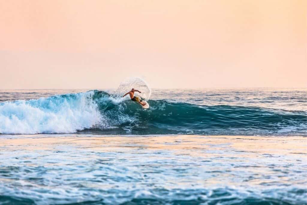 surfing pee attract sharks